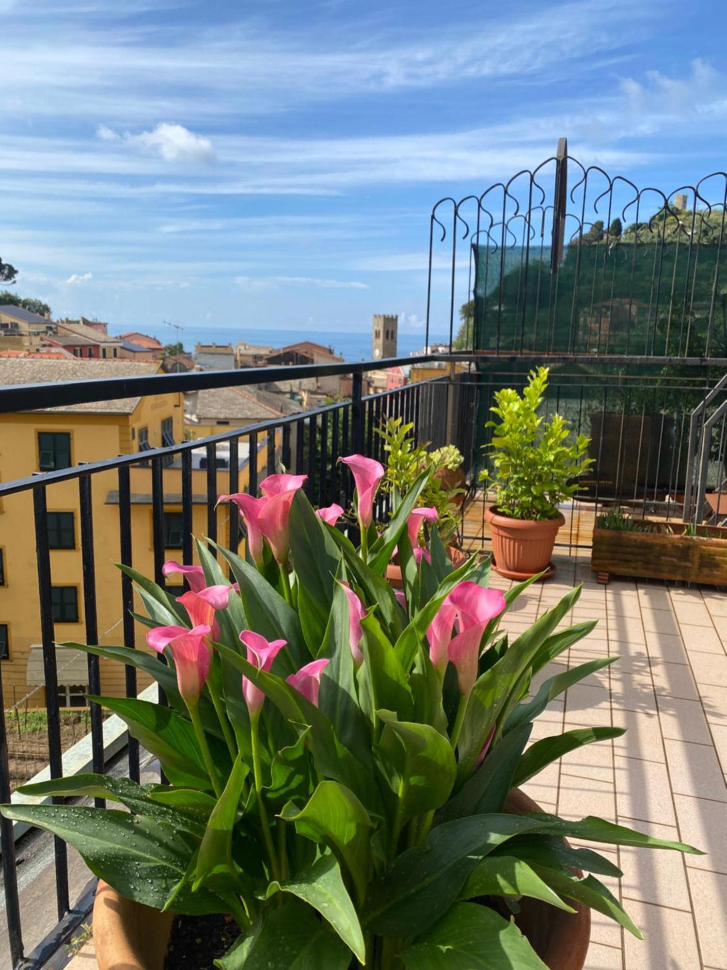 شقة La Terrazza Di Monterosso مونتيروسّو ال ماري المظهر الخارجي الصورة
