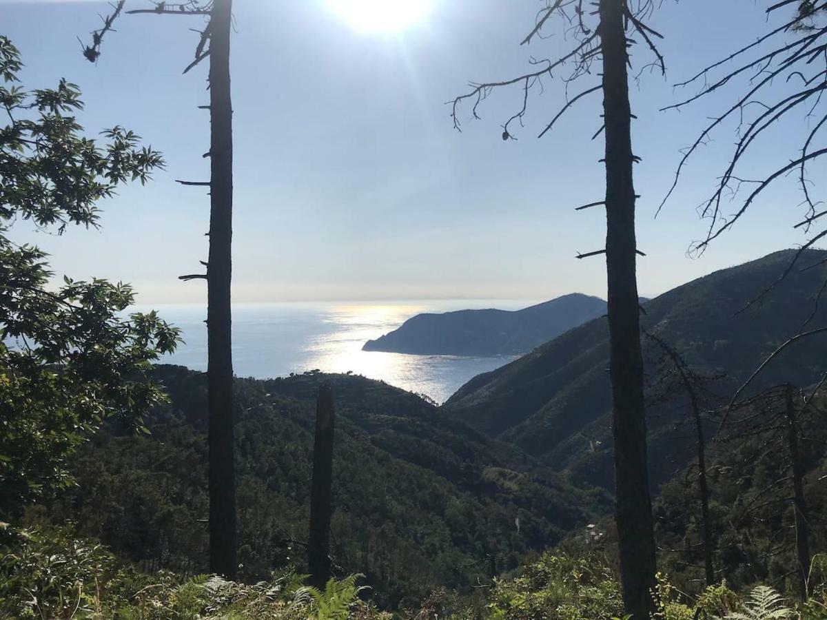 شقة La Terrazza Di Monterosso مونتيروسّو ال ماري المظهر الخارجي الصورة